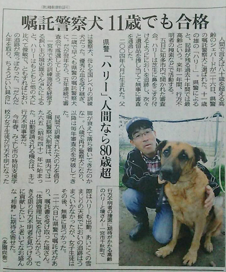 愛犬紹介 一宮ドッグスクール